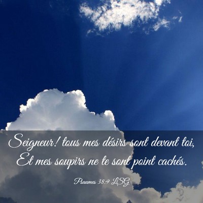 Picture 03 - Psaumes 38:9 LSG - Seigneur! tous mes désirs sont devant toi, Et - Bible Verse Picture