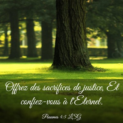 Picture 03 - Psaumes 4:5 LSG - Offrez des sacrifices de justice, Et confiez-vous - Bible Verse Picture