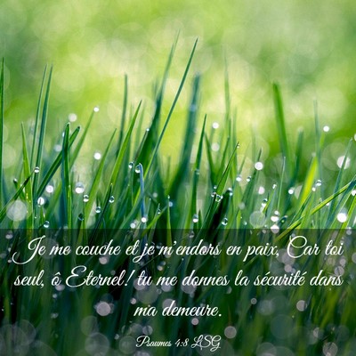 Picture 03 - Psaumes 4:8 LSG - Je me couche et je m'endors en paix, Car toi - Bible Verse Picture