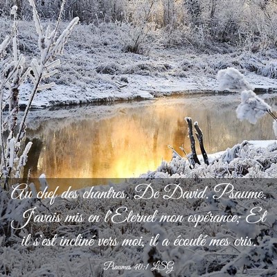 Picture 03 - Psaumes 40:1 LSG - Au chef des chantres. De David. Psaume. J'avais - Bible Verse Picture