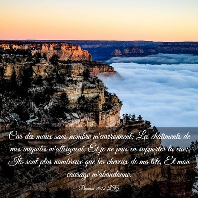 Picture 03 - Psaumes 40:12 LSG - Car des maux sans nombre m'environnent; Les - Bible Verse Picture