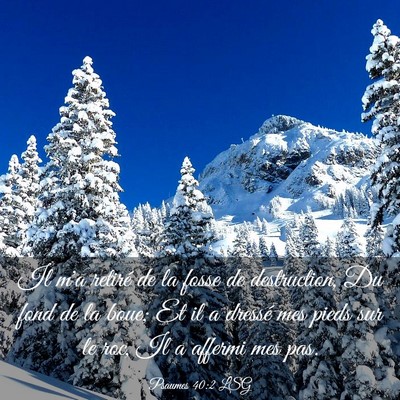 Picture 03 - Psaumes 40:2 LSG - Il m'a retiré de la fosse de destruction, Du - Bible Verse Picture