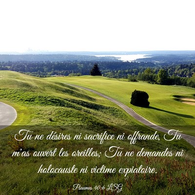 Picture 03 - Psaumes 40:6 LSG - Tu ne désires ni sacrifice ni offrande, Tu m'as - Bible Verse Picture