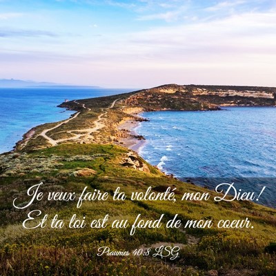 Picture 03 - Psaumes 40:8 LSG - Je veux faire ta volonté, mon Dieu! Et ta loi - Bible Verse Picture