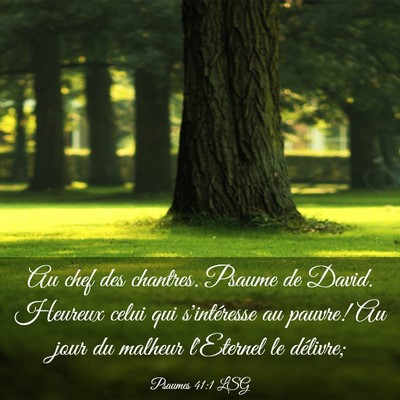 Picture 03 - Psaumes 41:1 LSG - Au chef des chantres. Psaume de David. Heureux - Bible Verse Picture