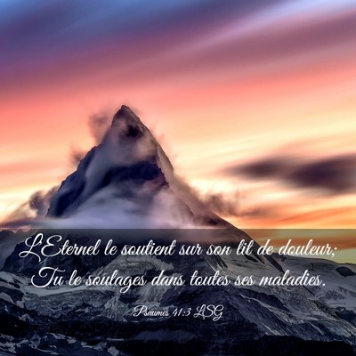 Picture 03 - Psaumes 41:3 LSG - L'Eternel le soutient sur son lit de douleur; Tu - Bible Verse Picture