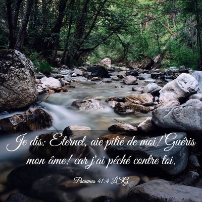 Picture 03 - Psaumes 41:4 LSG - Je dis: Eternel, aie pitié de moi! Guéris mon - Bible Verse Picture