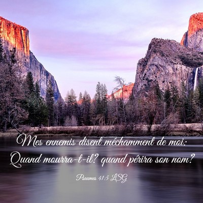 Picture 03 - Psaumes 41:5 LSG - Mes ennemis disent méchamment de moi: Quand - Bible Verse Picture
