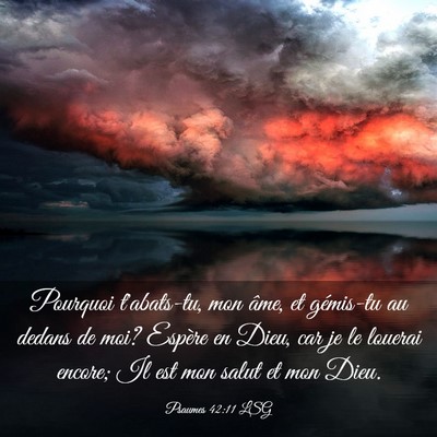 Picture 03 - Psaumes 42:11 LSG - Pourquoi t'abats-tu, mon âme, et gémis-tu au - Bible Verse Picture