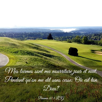 Picture 03 - Psaumes 42:3 LSG - Mes larmes sont ma nourriture jour et nuit, - Bible Verse Picture