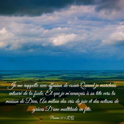 Picture 03 - Psaumes 42:4 LSG - Je me rappelle avec effusion de coeur Quand je - Bible Verse Picture