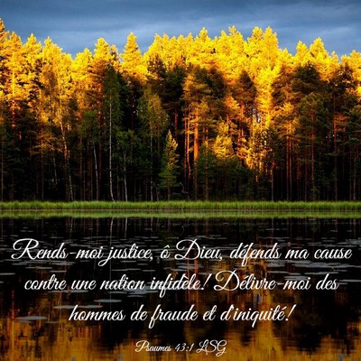 Picture 03 - Psaumes 43:1 LSG - Rends-moi justice, ô Dieu, défends ma cause - Bible Verse Picture