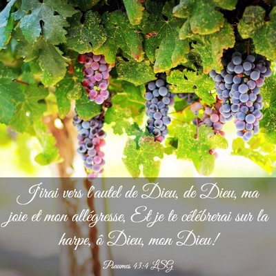 Picture 03 - Psaumes 43:4 LSG - J'irai vers l'autel de Dieu, de Dieu, ma joie et - Bible Verse Picture
