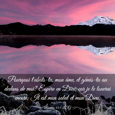 Picture 03 - Psaumes 43:5 LSG - Pourquoi t'abats-tu, mon âme, et gémis-tu au - Bible Verse Picture