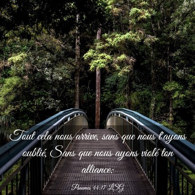 Picture 03 - Psaumes 44:17 LSG - Tout cela nous arrive, sans que nous t'ayons - Bible Verse Picture