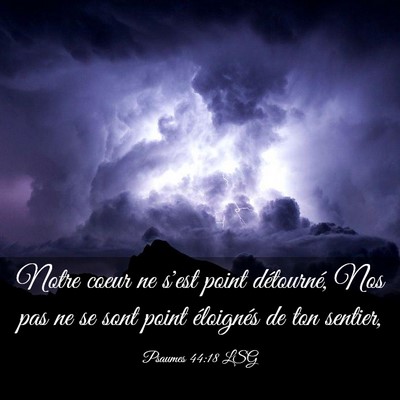 Picture 03 - Psaumes 44:18 LSG - Notre coeur ne s'est point détourné, Nos pas ne - Bible Verse Picture
