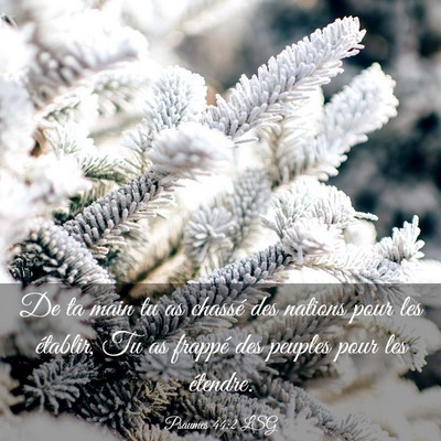Picture 03 - Psaumes 44:2 LSG - De ta main tu as chassé des nations pour les - Bible Verse Picture