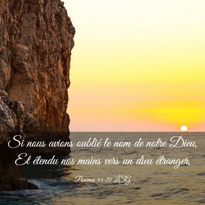 Picture 03 - Psaumes 44:20 LSG - Si nous avions oublié le nom de notre Dieu, Et - Bible Verse Picture