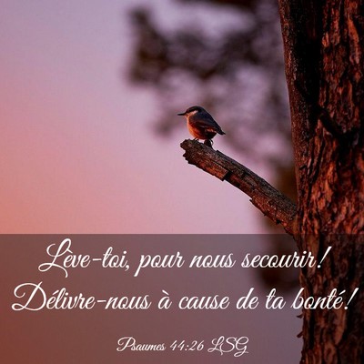 Picture 03 - Psaumes 44:26 LSG - Lève-toi, pour nous secourir! Délivre-nous à - Bible Verse Picture