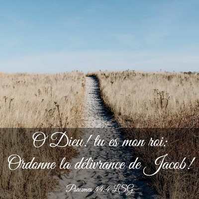 Picture 03 - Psaumes 44:4 LSG - O Dieu! tu es mon roi: Ordonne la délivrance de - Bible Verse Picture