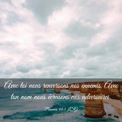 Picture 03 - Psaumes 44:5 LSG - Avec toi nous renversons nos ennemis, Avec ton - Bible Verse Picture