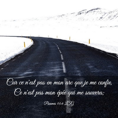 Picture 03 - Psaumes 44:6 LSG - Car ce n'est pas en mon arc que je me confie, Ce - Bible Verse Picture