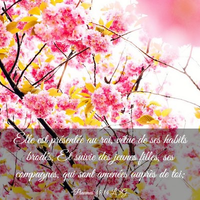 Picture 03 - Psaumes 45:14 LSG - Elle est présentée au roi, vêtue de ses habits - Bible Verse Picture