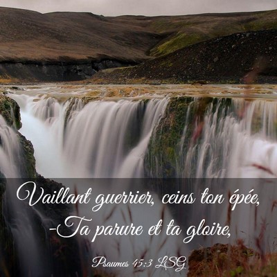 Picture 03 - Psaumes 45:3 LSG - Vaillant guerrier, ceins ton épée, -Ta parure - Bible Verse Picture
