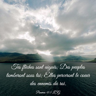 Picture 03 - Psaumes 45:5 LSG - Tes flèches sont aiguës; Des peuples tomberont - Bible Verse Picture