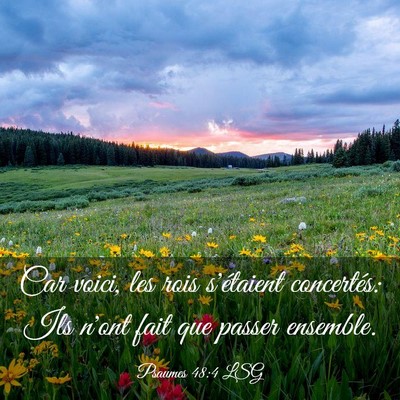 Picture 03 - Psaumes 48:4 LSG - Car voici, les rois s'étaient concertés: Ils - Bible Verse Picture