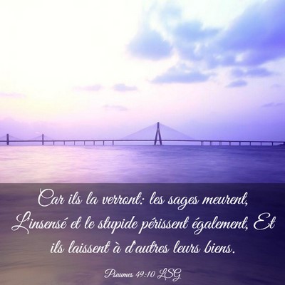 Picture 03 - Psaumes 49:10 LSG - Car ils la verront: les sages meurent, L'insensé - Bible Verse Picture