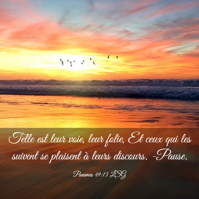 Picture 03 - Psaumes 49:13 LSG - Telle est leur voie, leur folie, Et ceux qui les - Bible Verse Picture