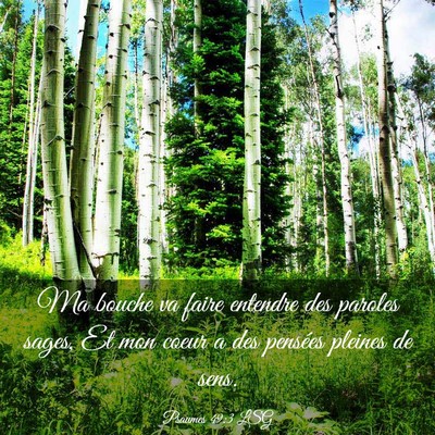 Picture 03 - Psaumes 49:3 LSG - Ma bouche va faire entendre des paroles sages, Et - Bible Verse Picture