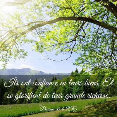 Picture 03 - Psaumes 49:6 LSG - Ils ont confiance en leurs biens, Et se - Bible Verse Picture