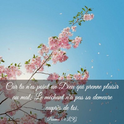 Picture 03 - Psaumes 5:4 LSG - Car tu n'es point un Dieu qui prenne plaisir au - Bible Verse Picture