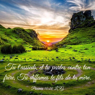 Picture 03 - Psaumes 50:20 LSG - Tu t'assieds, et tu parles contre ton frère, Tu - Bible Verse Picture