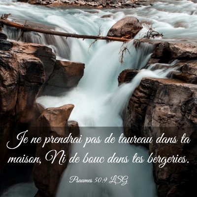 Picture 03 - Psaumes 50:9 LSG - Je ne prendrai pas de taureau dans ta maison, Ni - Bible Verse Picture