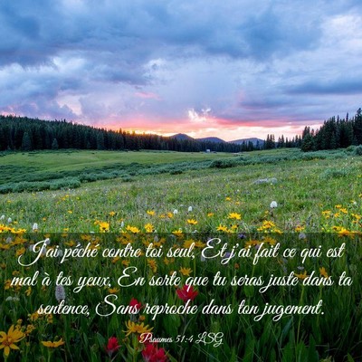 Picture 03 - Psaumes 51:4 LSG - J'ai péché contre toi seul, Et j'ai fait ce qui - Bible Verse Picture