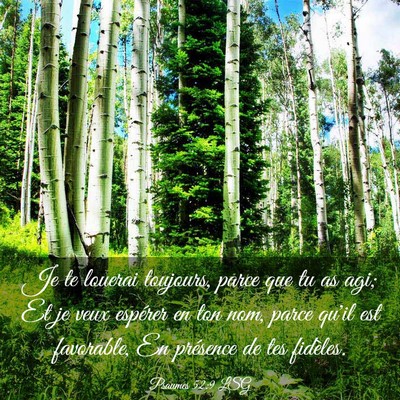 Picture 03 - Psaumes 52:9 LSG - Je te louerai toujours, parce que tu as agi; Et - Bible Verse Picture