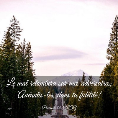 Picture 03 - Psaumes 54:5 LSG - Le mal retombera sur mes adversaires; - Bible Verse Picture