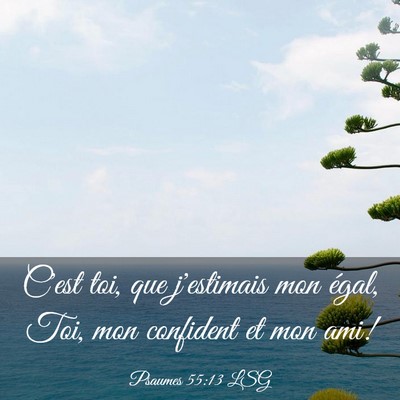 Picture 03 - Psaumes 55:13 LSG - C'est toi, que j'estimais mon égal, Toi, mon - Bible Verse Picture