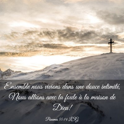 Picture 03 - Psaumes 55:14 LSG - Ensemble nous vivions dans une douce intimité, - Bible Verse Picture