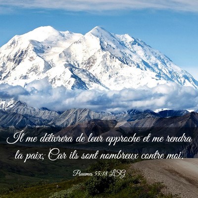 Picture 03 - Psaumes 55:18 LSG - Il me délivrera de leur approche et me rendra la - Bible Verse Picture