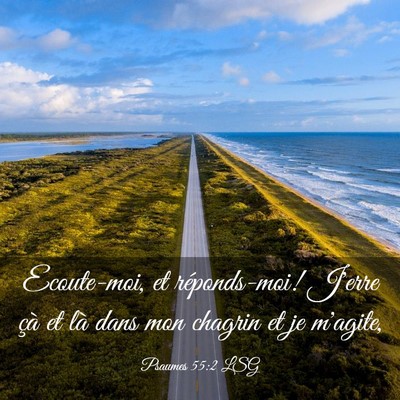 Picture 03 - Psaumes 55:2 LSG - Ecoute-moi, et réponds-moi! J'erre çà et là - Bible Verse Picture
