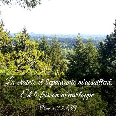 Picture 03 - Psaumes 55:5 LSG - La crainte et l'épouvante m'assaillent, Et le - Bible Verse Picture