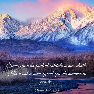 Picture 03 - Psaumes 56:5 LSG - Sans cesse ils portent atteinte à mes droits, - Bible Verse Picture