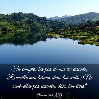 Picture 03 - Psaumes 56:8 LSG - Tu comptes les pas de ma vie errante; Recueille - Bible Verse Picture