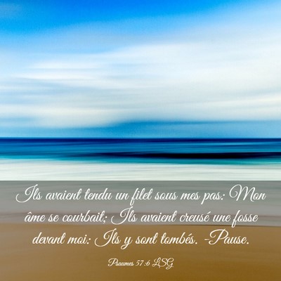 Picture 03 - Psaumes 57:6 LSG - Ils avaient tendu un filet sous mes pas: Mon âme - Bible Verse Picture