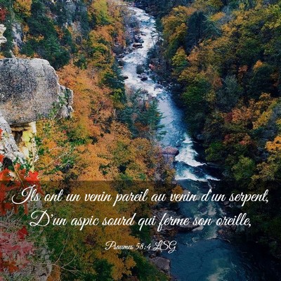 Picture 03 - Psaumes 58:4 LSG - Ils ont un venin pareil au venin d'un serpent, - Bible Verse Picture