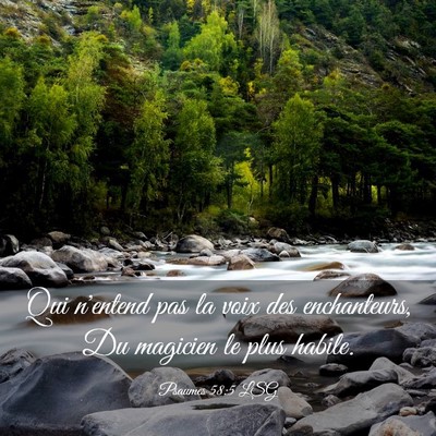 Picture 03 - Psaumes 58:5 LSG - Qui n'entend pas la voix des enchanteurs, Du - Bible Verse Picture